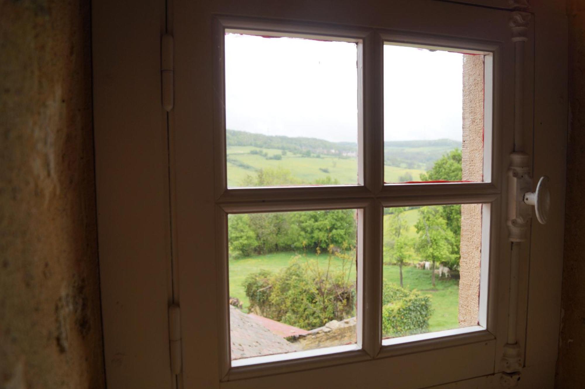 Maison De Blanche Chaudenay-le-Château エクステリア 写真
